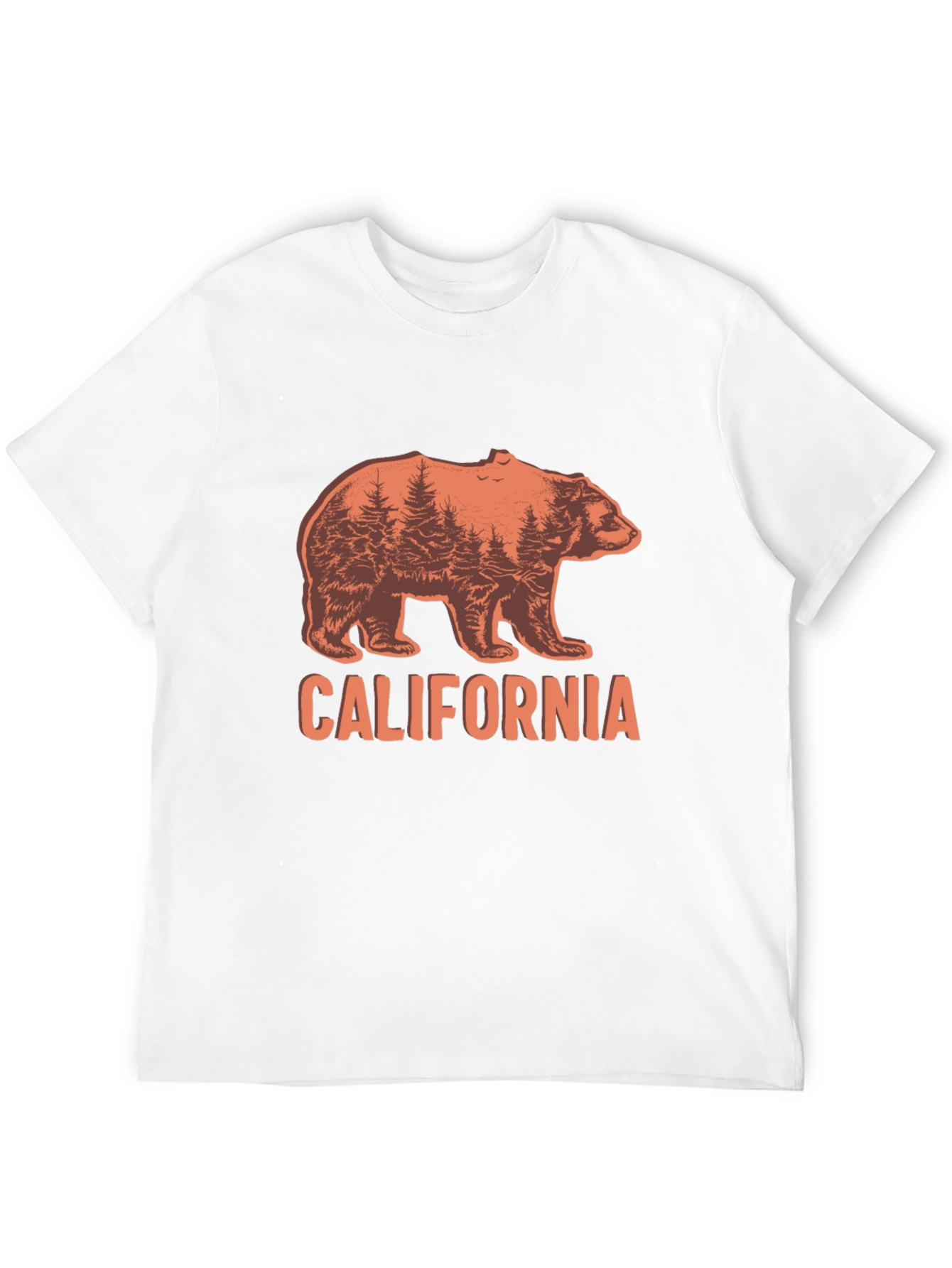 California Bear Graphic Crew Neck T-Shirt