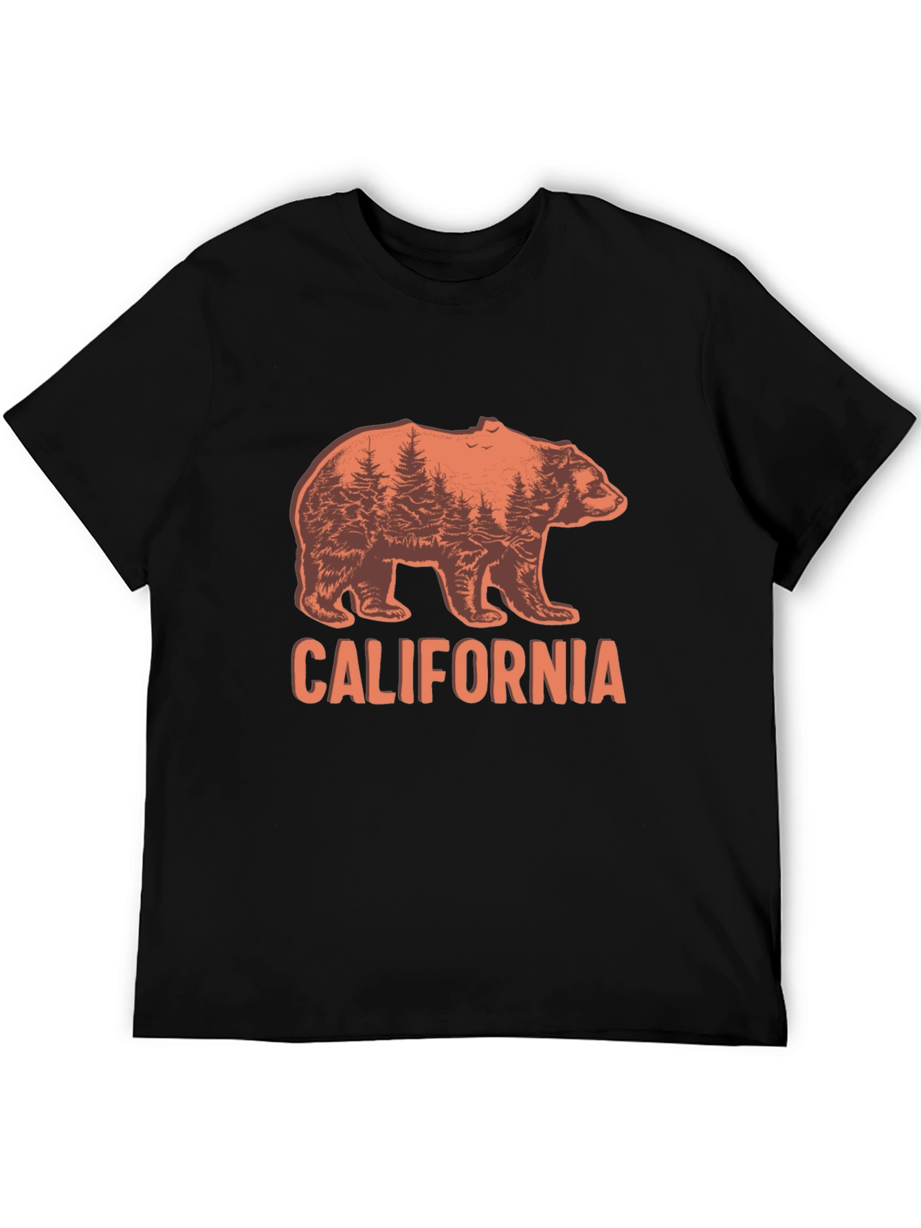 California Bear Graphic Crew Neck T-Shirt