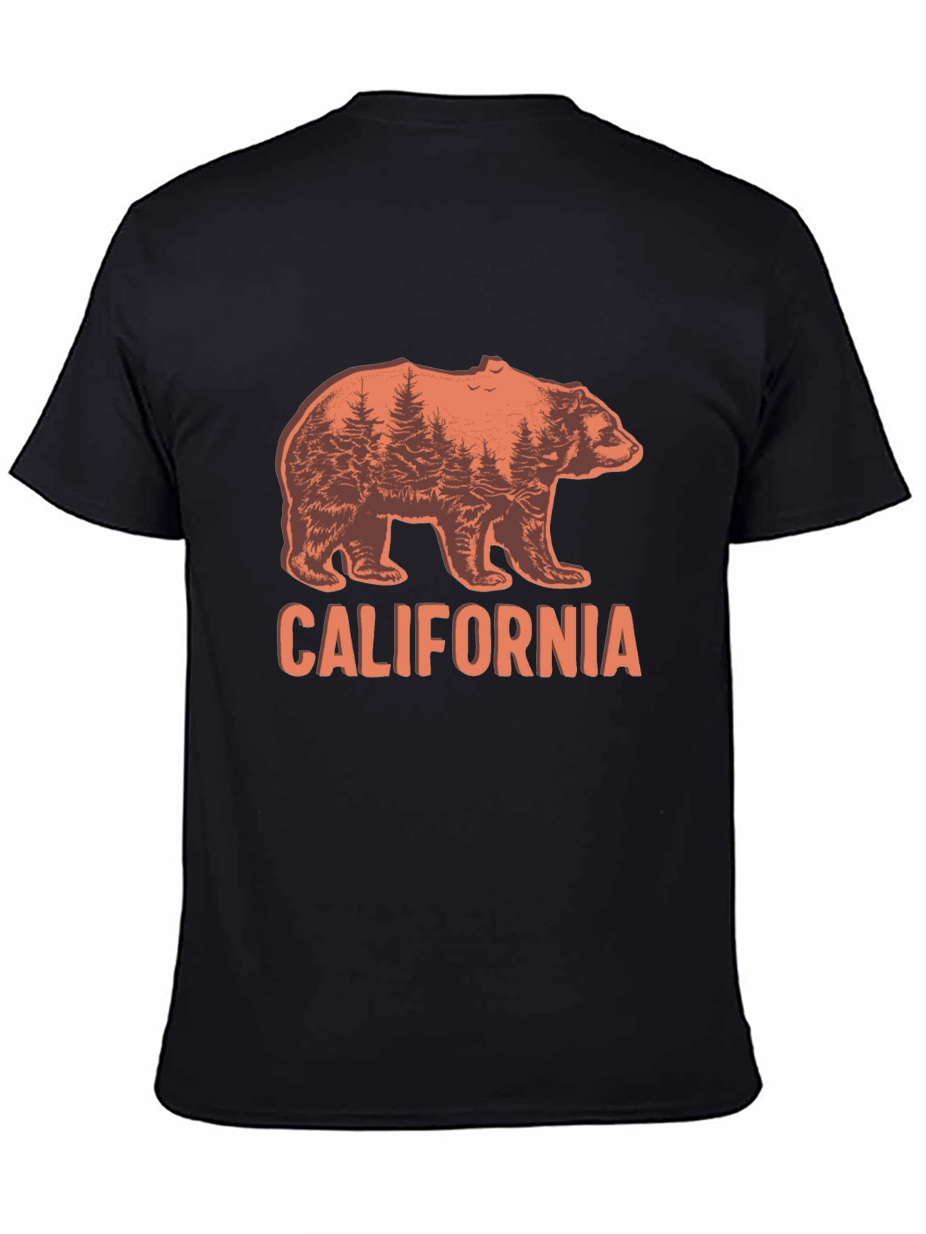 California Bear Graphic Crew Neck T-Shirt