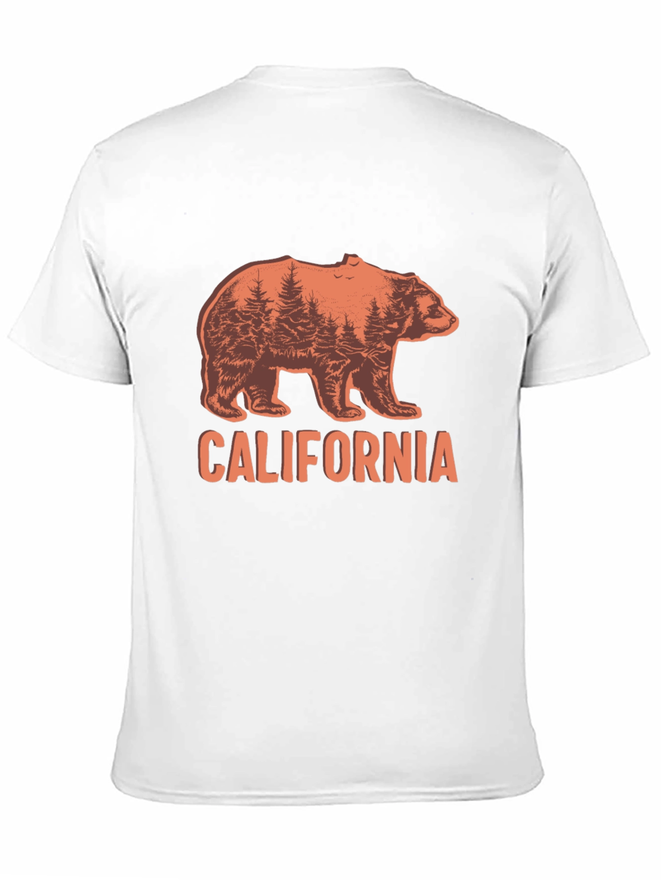 California Bear Graphic Crew Neck T-Shirt