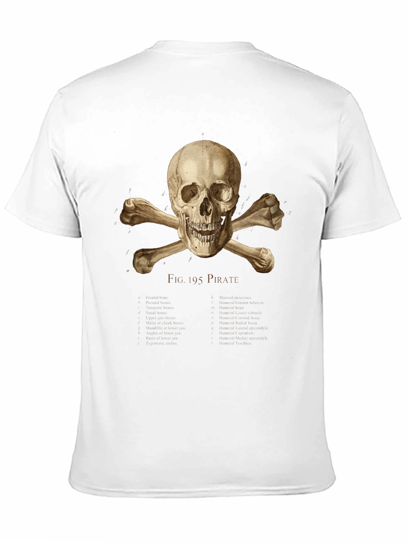 Pirate Skull & Crossbones Graphic Tee - Black