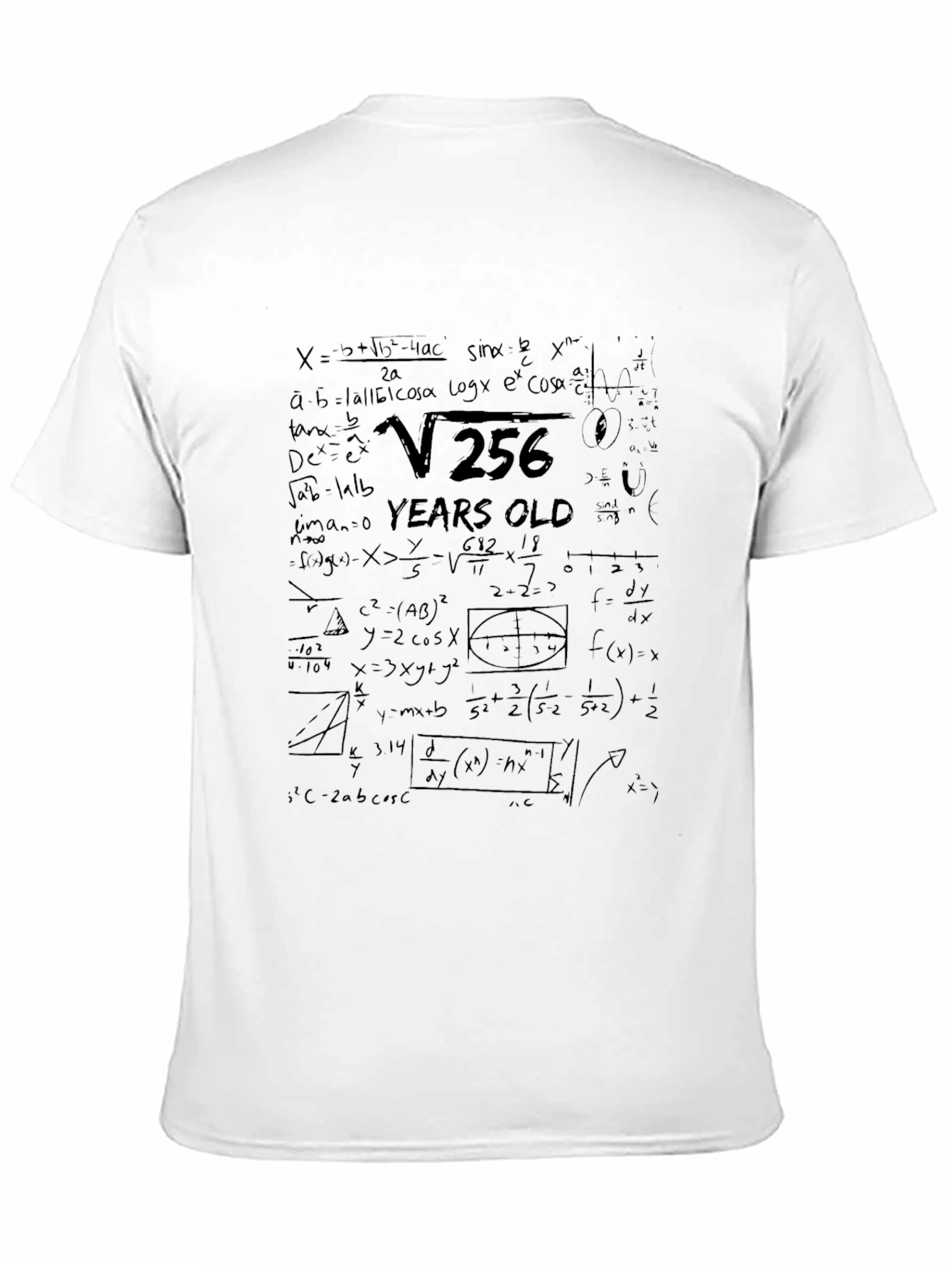 Math Humor T-Shirt: Root 256 = 16 Years Old
