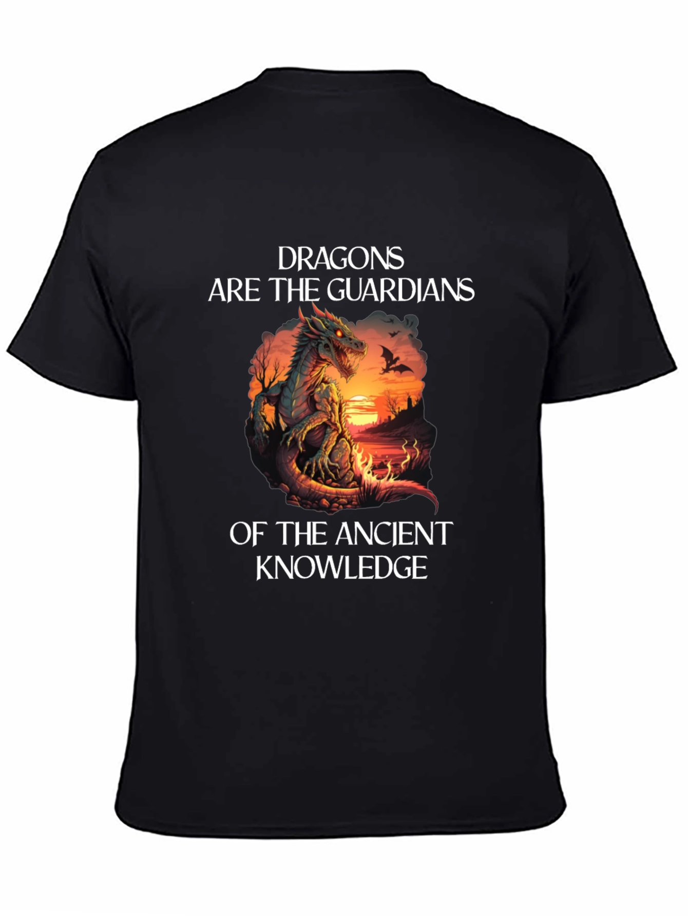 Dragon Guardians Ancient Knowledge Black T-Shirt
