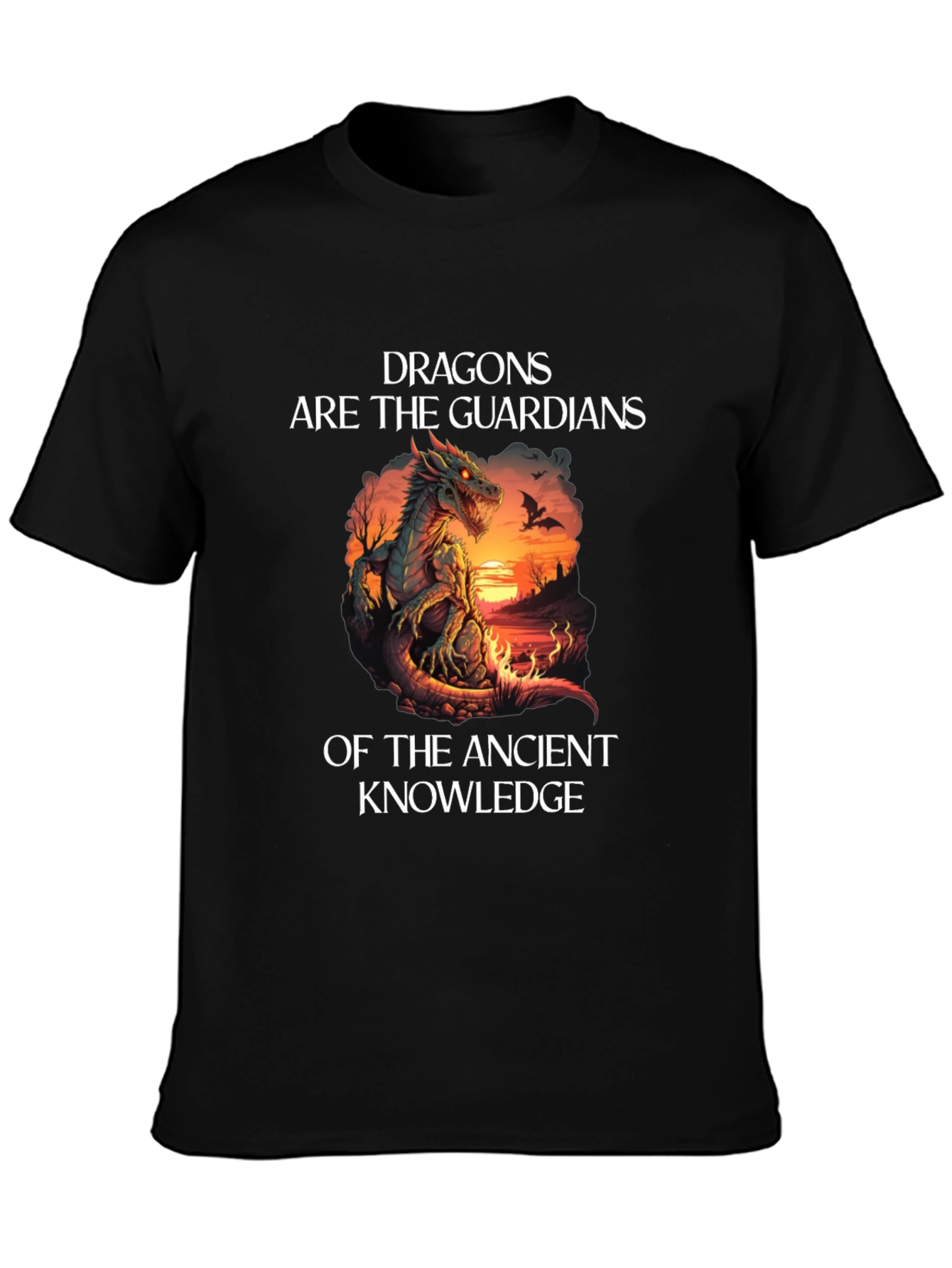 Dragon Guardians Ancient Knowledge Black T-Shirt